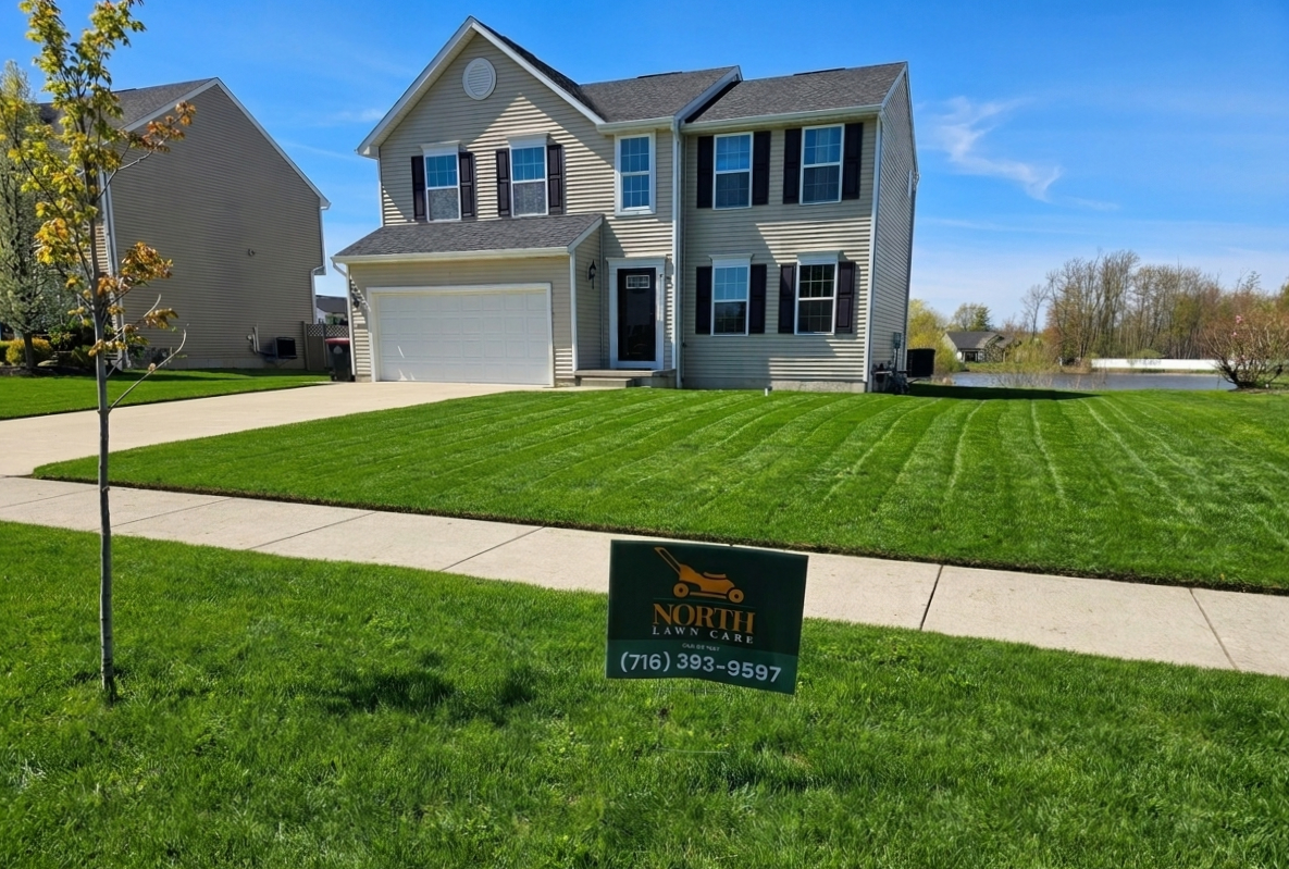 Clean edged lawn border along sidewalk in Depew NY